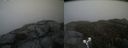 ./images/calvert/buxton2/20190503/buxton220190503_180456M.jpg