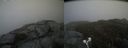 ./images/calvert/buxton2/20190503/buxton220190503_190456M.jpg