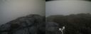 ./images/calvert/buxton2/20190503/buxton220190503_194956M.jpg