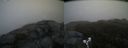 ./images/calvert/buxton2/20190504/buxton220190504_070956M.jpg