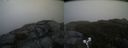 ./images/calvert/buxton2/20190504/buxton220190504_083456M.jpg