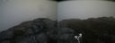 ./images/calvert/buxton2/20190504/buxton220190504_083956M.jpg