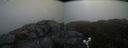 ./images/calvert/buxton2/20190504/buxton220190504_085456M.jpg