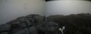 ./images/calvert/buxton2/20190504/buxton220190504_100456M.jpg