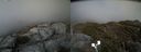 ./images/calvert/buxton2/20190504/buxton220190504_173956M.jpg