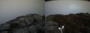 ./images/calvert/buxton2/20190504/buxton220190504_203956M.jpg