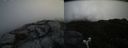 ./images/calvert/buxton2/20190506/buxton220190506_094456M.jpg
