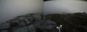 ./images/calvert/buxton2/20190506/buxton220190506_104956M.jpg