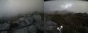./images/calvert/buxton2/20190506/buxton220190506_174956M.jpg