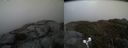 ./images/calvert/buxton2/20190507/buxton220190507_191956M.jpg