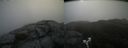 ./images/calvert/buxton2/20190511/buxton220190511_082455M.jpg