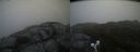 ./images/calvert/buxton2/20190511/buxton220190511_085455M.jpg
