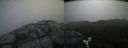 ./images/calvert/buxton2/20190511/buxton220190511_101455M.jpg