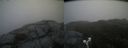 ./images/calvert/buxton2/20190511/buxton220190511_104955M.jpg