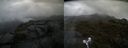 ./images/calvert/buxton2/20190514/buxton220190514_093455M.jpg