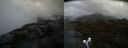 ./images/calvert/buxton2/20190514/buxton220190514_110955M.jpg