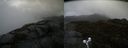 ./images/calvert/buxton2/20190514/buxton220190514_114955M.jpg