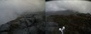 ./images/calvert/buxton2/20190514/buxton220190514_115455M.jpg