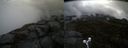 ./images/calvert/buxton2/20190514/buxton220190514_132455M.jpg