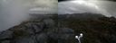 ./images/calvert/buxton2/20190514/buxton220190514_133955M.jpg