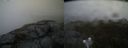 ./images/calvert/buxton2/20190514/buxton220190514_193455M.jpg
