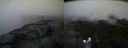 ./images/calvert/buxton2/20190514/buxton220190514_202455M.jpg
