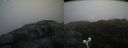 ./images/calvert/buxton2/20190515/buxton220190515_071955M.jpg