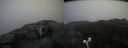 ./images/calvert/buxton2/20190515/buxton220190515_072455M.jpg