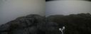 ./images/calvert/buxton2/20190515/buxton220190515_073455M.jpg