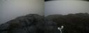 ./images/calvert/buxton2/20190515/buxton220190515_074955M.jpg