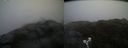 ./images/calvert/buxton2/20190515/buxton220190515_075955M.jpg