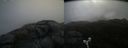 ./images/calvert/buxton2/20190515/buxton220190515_092455M.jpg