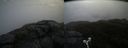 ./images/calvert/buxton2/20190515/buxton220190515_093455M.jpg