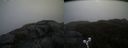 ./images/calvert/buxton2/20190515/buxton220190515_094955M.jpg