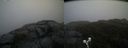 ./images/calvert/buxton2/20190516/buxton220190516_072455M.jpg