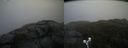 ./images/calvert/buxton2/20190516/buxton220190516_072955M.jpg