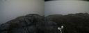 ./images/calvert/buxton2/20190516/buxton220190516_073955M.jpg