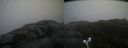 ./images/calvert/buxton2/20190516/buxton220190516_074455M.jpg
