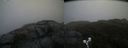 ./images/calvert/buxton2/20190516/buxton220190516_082455M.jpg