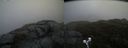 ./images/calvert/buxton2/20190516/buxton220190516_092955M.jpg