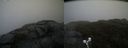 ./images/calvert/buxton2/20190516/buxton220190516_094955M.jpg