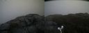 ./images/calvert/buxton2/20190516/buxton220190516_095955M.jpg