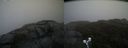 ./images/calvert/buxton2/20190516/buxton220190516_100455M.jpg