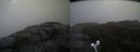 ./images/calvert/buxton2/20190516/buxton220190516_103455M.jpg