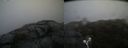 ./images/calvert/buxton2/20190516/buxton220190516_111455M.jpg