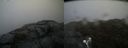 ./images/calvert/buxton2/20190516/buxton220190516_111955M.jpg