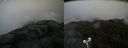 ./images/calvert/buxton2/20190516/buxton220190516_122455M.jpg