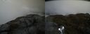 ./images/calvert/buxton2/20190516/buxton220190516_132455M.jpg