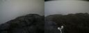 ./images/calvert/buxton2/20190516/buxton220190516_133455M.jpg