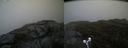 ./images/calvert/buxton2/20190516/buxton220190516_140455M.jpg